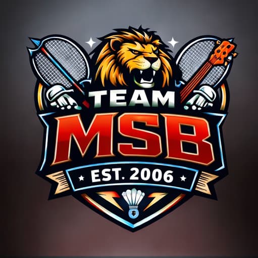Official TeamMSB logo